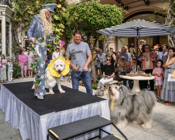 Event - 30th annual Pet Parade 